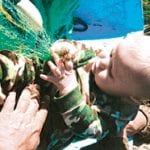 article image -